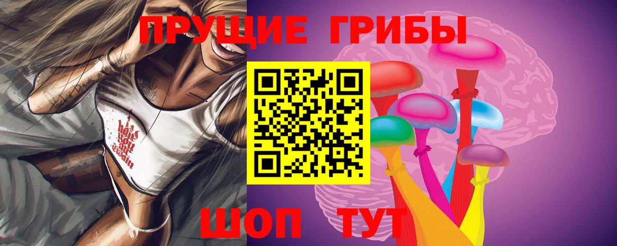 Нововоронеж  Галлюциногенные грибы MAGIC MUSHROOMS  наркота  Вход с VPN 